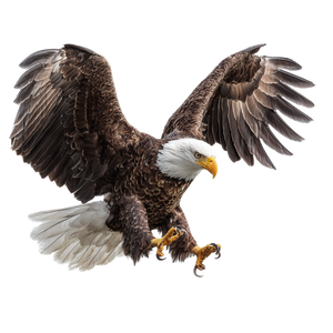 Eagle Claws Vinyl Car Decal Sticker – Waterproof & UV-Resistant 6.826666666666667"