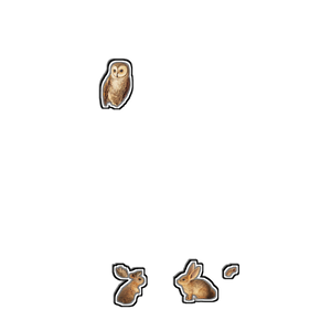 Enchanted Forest Clearing Vinyl Car Decal Sticker – Waterproof & UV-Resistant 3.4133333333333336"