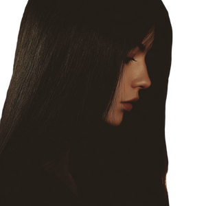 Mysterious Woman Profile V2 Vinyl Car Decal Sticker – Waterproof & UV-Resistant 3.4133333333333336" Mysterious Woman Profile V2 Vinyl Car Decal Sticker – Waterproof & UV-Resistant 3.4133333333333336"