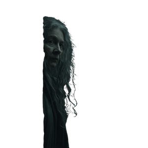 Eerie Forest Specter Vinyl Car Decal Sticker – Waterproof & UV-Resistant 6.826666666666667"