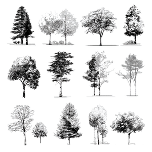 2D Tree Silhouette Vinyl Car Decal Sticker – Waterproof & UV-Resistant 6.826666666666667"