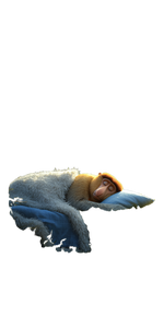Proboscis Monkey Resting Vinyl Car Decal Sticker – Waterproof & UV-Resistant 10.2
