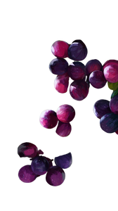 Jamun Fruit Vinyl Car Decal Sticker – Waterproof & UV-Resistant 9.706666666666667"