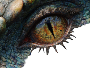 Dragon'S Eye Retina Vinyl Car Decal Sticker – Waterproof & UV-Resistant 6.1866666666666665"