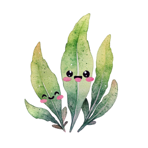 Kawaii Tarragon Leaves Vinyl Car Decal Sticker – Waterproof & UV-Resistant 3.4133333333333336"