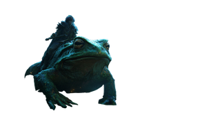Colossal Jungle Frogs Vinyl Car Decal Sticker – Waterproof & UV-Resistant 2.72"