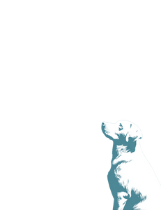 Dog Silhouette Background Vinyl Car Decal Sticker – Waterproof & UV-Resistant 4.16"