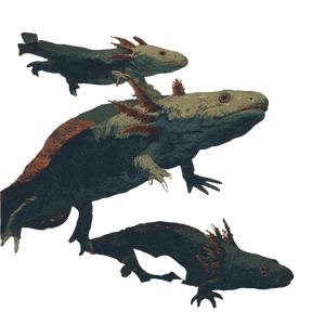 Axolotl Swim Vinyl Car Decal Sticker – Waterproof & UV-Resistant 3.4133333333333336"