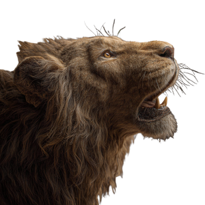 Lion Vs Eagle V6 Vinyl Car Decal Sticker – Waterproof & UV-Resistant 3.4133333333333336"