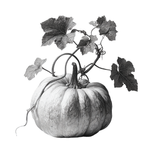 Pumpkin With Stem Vinyl Car Decal Sticker – Waterproof & UV-Resistant 6.826666666666667"