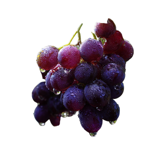 Purple Grapes V4 Vinyl Car Decal Sticker – Waterproof & UV-Resistant 3.4133333333333336"