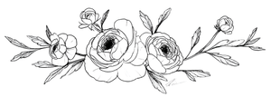 Ranunculus Line Drawing V2 Vinyl Car Decal Sticker – Waterproof & UV-Resistant 2.1866666666666665"
