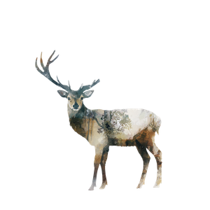 Japanese Deer Art Vinyl Car Decal Sticker – Waterproof & UV-Resistant 6.826666666666667"