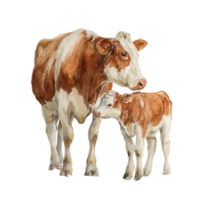 Watercolor Cow Calf Vinyl Car Decal Sticker – Waterproof & UV-Resistant 6.826666666666667" Watercolor Cow Calf Vinyl Car Decal Sticker – Waterproof & UV-Resistant 6.826666666666667"