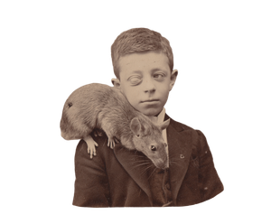 Rat And Boy Vinyl Car Decal Sticker – Waterproof & UV-Resistant 6.613333333333333"