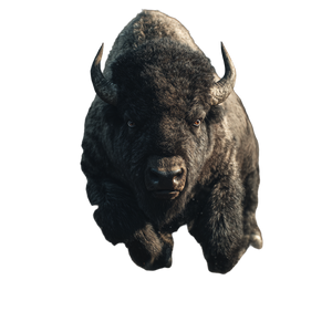 Angry Charging Bison Vinyl Car Decal Sticker – Waterproof & UV-Resistant 3.4133333333333336"