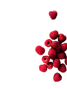 Vibrant Raspberries Composition Vinyl Car Decal Sticker – Waterproof & UV-Resistant 8.213333333333333"