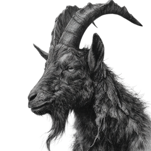 Baphomet Drawing Vinyl Car Decal Sticker – Waterproof & UV-Resistant 3.4133333333333336"