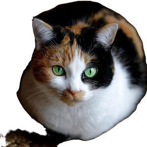 Tricolor Cat Vinyl Car Decal Sticker – Waterproof & UV-Resistant 6.826666666666667"
