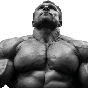 Belarusian Bodybuilder Vinyl Car Decal Sticker – Waterproof & UV-Resistant 3.4133333333333336"