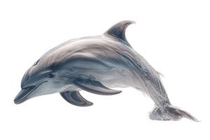 Twisting Dolphin Vinyl Car Decal Sticker – Waterproof & UV-Resistant 2.986666666666667"