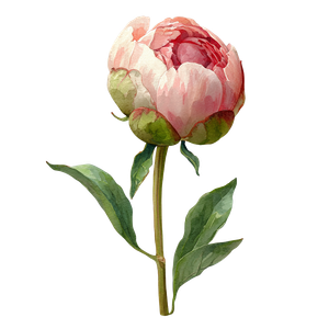 Pastel Pink Peony Vinyl Car Decal Sticker – Waterproof & UV-Resistant 3.4133333333333336"