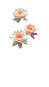 Lily Pond Serenity Vinyl Car Decal Sticker – Waterproof & UV-Resistant 9.706666666666667"