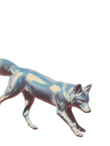 Chrome Silver Fox Vinyl Car Decal Sticker – Waterproof & UV-Resistant 8.213333333333333"