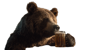 Bear Drinking Beer V2 Vinyl Car Decal Sticker – Waterproof & UV-Resistant 2.72"