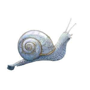 Crescent Snail Vinyl Car Decal Sticker – Waterproof & UV-Resistant 6.826666666666667"