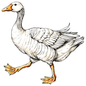 Cartoon Goose Skeleton Vinyl Car Decal Sticker – Waterproof & UV-Resistant 6.826666666666667"