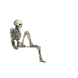 Skeleton On Logo Vinyl Car Decal Sticker – Waterproof & UV-Resistant 3.4133333333333336"