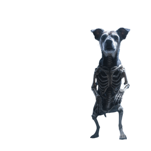 Skeletal Dog Vinyl Car Decal Sticker – Waterproof & UV-Resistant 6.826666666666667"