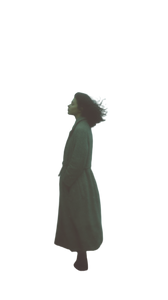 Solitary Figure V11 Vinyl Car Decal Sticker – Waterproof & UV-Resistant 9.706666666666667"