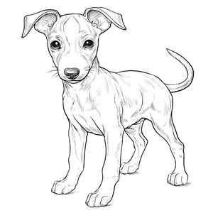 Greyhound Puppy Vinyl Car Decal Sticker – Waterproof & UV-Resistant 3.4133333333333336"