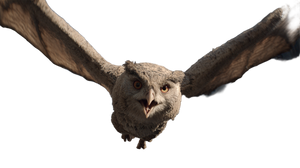 Angry Giant Owl Vinyl Car Decal Sticker – Waterproof & UV-Resistant 2.72"