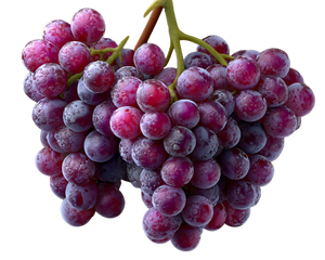 Purple Grape Clusters Vinyl Car Decal Sticker – Waterproof & UV-Resistant 3.2"