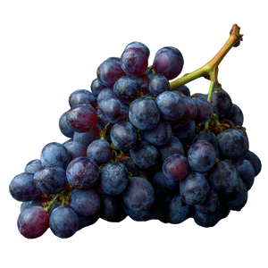 Purple Grapes Bundle Vinyl Car Decal Sticker – Waterproof & UV-Resistant 3.4133333333333336"