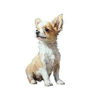 Chihuahua And Bird V2 Vinyl Car Decal Sticker – Waterproof & UV-Resistant 6.826666666666667"