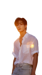 K-Pop Idol Pose V9 Vinyl Car Decal Sticker – Waterproof & UV-Resistant 9.706666666666667"