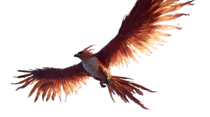 Fiery Phoenix Soaring V2 Vinyl Car Decal Sticker – Waterproof & UV-Resistant 5.4