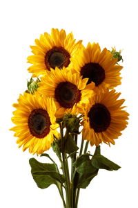 Sunflowers Portrait Vinyl Car Decal Sticker – Waterproof & UV-Resistant 8.96"