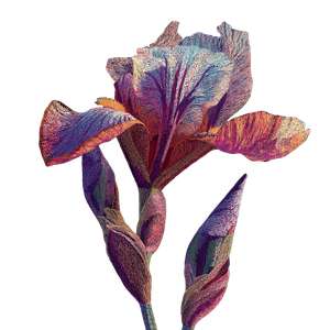Abstract Iris Flower Vinyl Car Decal Sticker – Waterproof & UV-Resistant 3.4133333333333336"