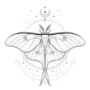 Luna Moth Tattoo V4 Vinyl Car Decal Sticker – Waterproof & UV-Resistant 6.826666666666667"