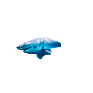 Shark In Motion Vinyl Car Decal Sticker – Waterproof & UV-Resistant 3.4133333333333336"