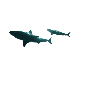Deep Sea Wildlife Vinyl Car Decal Sticker – Waterproof & UV-Resistant 3.4133333333333336" Deep Sea Wildlife Vinyl Car Decal Sticker – Waterproof & UV-Resistant 3.4133333333333336"