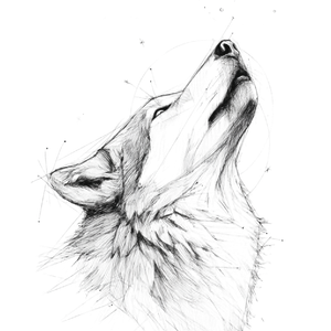 Wolf Sketch V3 Vinyl Car Decal Sticker – Waterproof & UV-Resistant 3.4133333333333336"