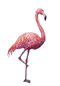 Flamingo Painting V2 Vinyl Car Decal Sticker – Waterproof & UV-Resistant 4.373333333333333"