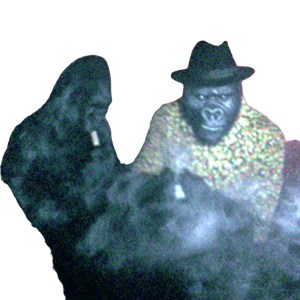 Pimp Gorillas Vinyl Car Decal Sticker – Waterproof & UV-Resistant 6.826666666666667"