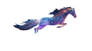 Holographic Chinese Horse Vinyl Car Decal Sticker – Waterproof & UV-Resistant 2.72"